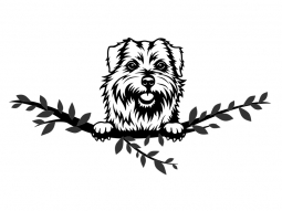 Wandtattoo Norfolk Terrier Motivansicht