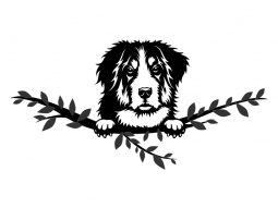 Wandtattoo Berner Sennenhund Motivansicht