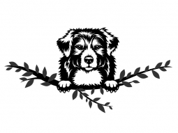 Wandtattoo Australian Shepherd Motivansicht