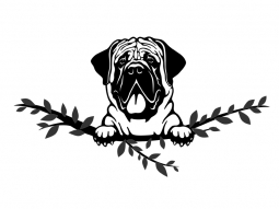 Wandtattoo Mastiff Motivansicht