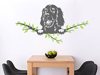 Wandtattoo Irish Setter