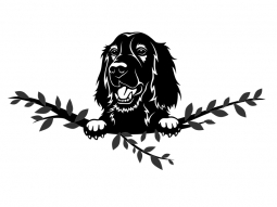 Wandtattoo Irish Setter Motivansicht