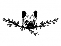 Wandtattoo Französische Bulldogge Motivansicht