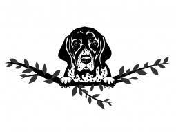 Wandtattoo English Pointer Motivansicht