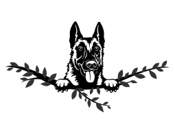 Wandtattoo Malinois Motivansicht