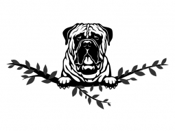 Wandtattoo Bullmastiff Motivansicht