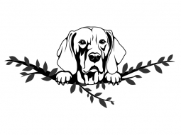 Wandtattoo Weimaraner Motivansicht