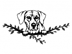 Wandtattoo Rhodesian Ridgeback Motivansicht