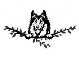 Wandtattoo Collie Motivansicht