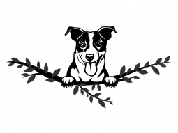 Wandtattoo Jack Russel Terrier Motivansicht