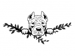 Wandtattoo American Pit Bull Motivansicht