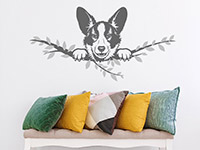 Wandtattoo Welsh Corgi Cardigan