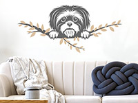 Wandtattoo Shih Tzu