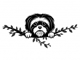 Wandtattoo Shih Tzu Motivansicht