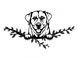 Wandtattoo Labrador Motivansicht