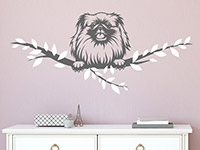 Wandtattoo Pekinese