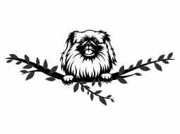 Wandtattoo Pekinese Motivansicht