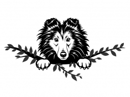 Wandtattoo Shetland Sheepdog Motivansicht