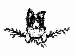 Wandtattoo Border Collie Motivansicht