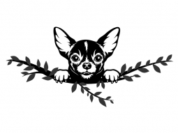 Wandtattoo Chihuahua Motivansicht