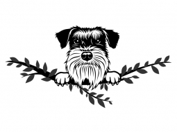 Wandtattoo Schnauzer Motivansicht