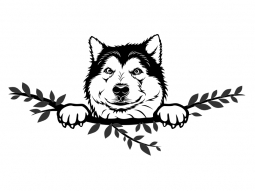 Wandtattoo Alaskan Malamute Motivansicht