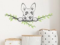 Wandtattoo Basenji