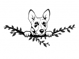 Wandtattoo Basenji Motivansicht