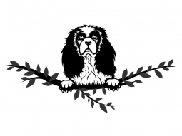 Wandtattoo Cavalier King Charles Spaniel zweifarbig Motivansicht