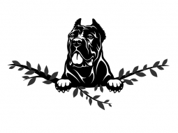 Wandtattoo Cane Corso Motivansicht