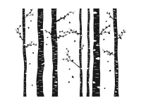 Wandtattoo Wald aus Birken Motivansicht