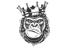 Wandtattoo Cooler Gorilla Motivansicht