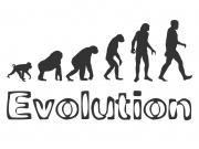 Wandtattoo Evolution Motivansicht