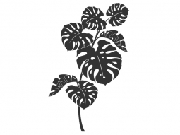 Wandtattoo Tropische Pflanze Motivansicht