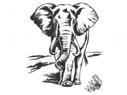 Wandtattoo Elefant Motivansicht