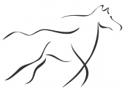 Wandtattoo Galoppierendes Pferd Motivansicht