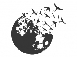 Wandtattoo Mond mit Vögeln Motivansicht