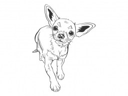 Wandtattoo Frecher Chihuahua Motivansicht