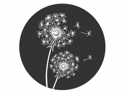 Wandtattoo Kreis mit Pusteblumen Motivansicht