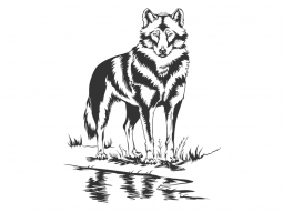 Wandtattoo Wilder Wolf Motivansicht