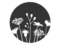 Wandtattoo Kreis mit Wiesenblumen Motivansicht