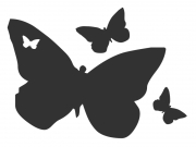 Wandtattoo Tafelfolie  Schmetterling Motivansicht