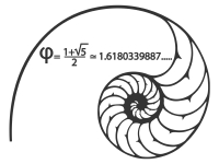 Wandtattoo Fibonacci Spirale Motivansicht