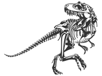 Wandtattoo T-Rex Skelett Motivansicht