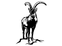 Wandtattoo Steinbock Motivansicht