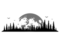 Wandtattoo Mondstimmung im Wald Motivansicht