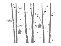 Wandtattoo Birkenwald mit Vögeln Motivansicht