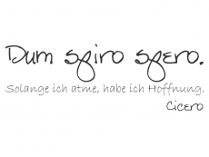 Wandtattoo Dum spiro spero. Motivansicht