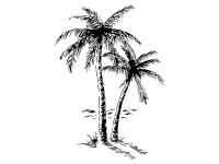 Wandtattoo Vintage Palmen Motivansicht