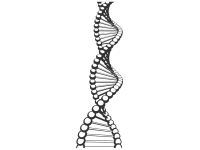 Wandtattoo Wandbanner DNA Motivansicht